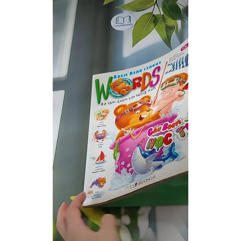 Gấu Bogie Học Từ - NXB Dân Trí - Đông A (Dan Tri - Dong A Publishing) 607708