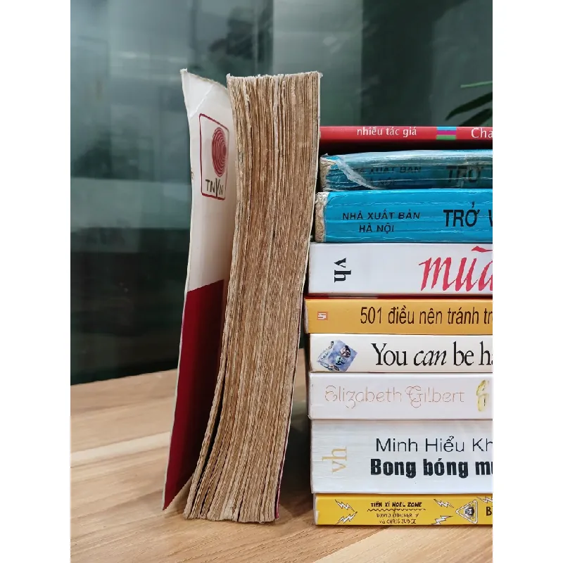 Thơ Văn Tiếng Việt 553521