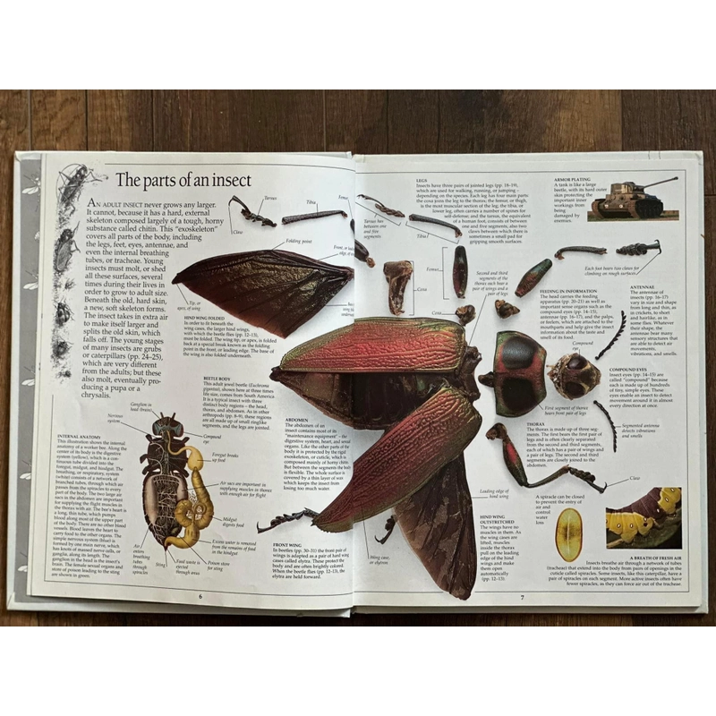 [Bìa cứng] EYEWITNESS BOOKS: Insect 249532