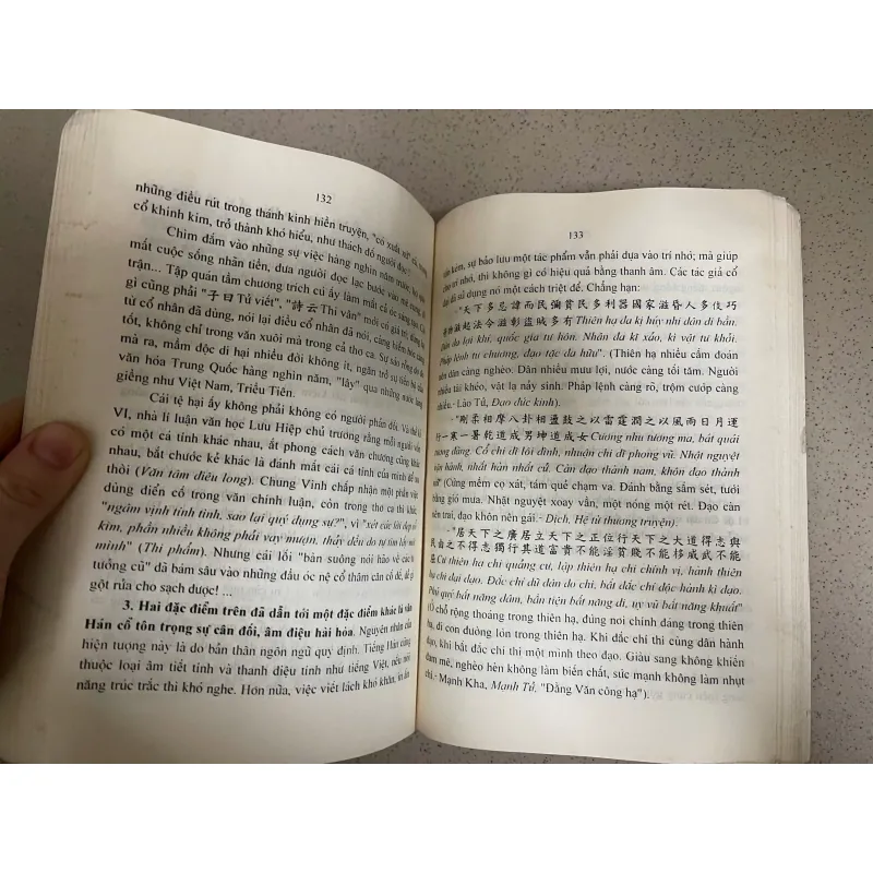 TỪ CHỮ HÁN ĐẾN CHỮ NÔM – Lê Nguyễn Lưu 994185