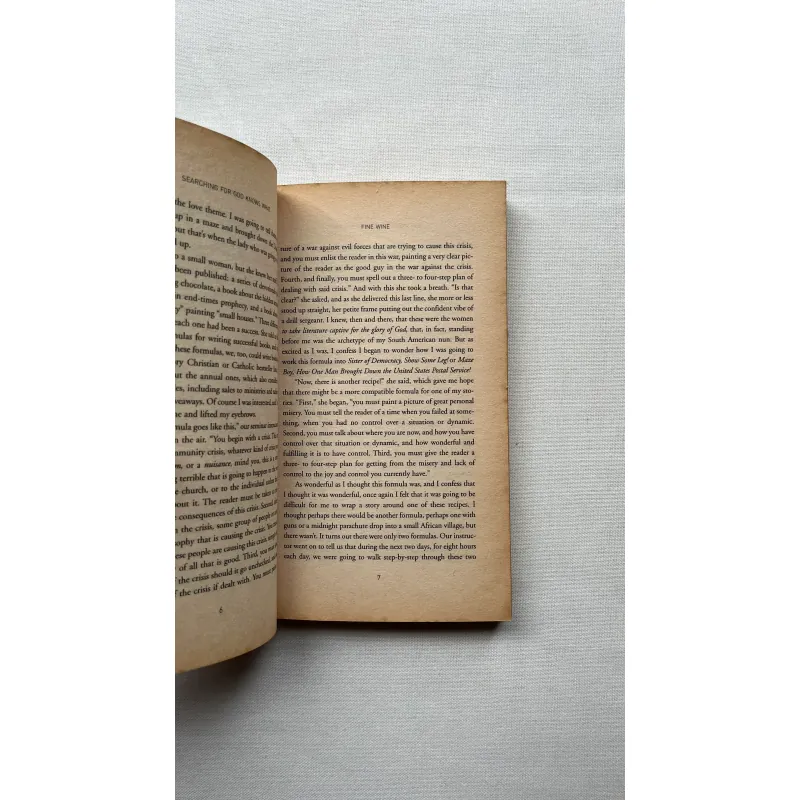 Searching for God Knows What - Donald Miller  786339