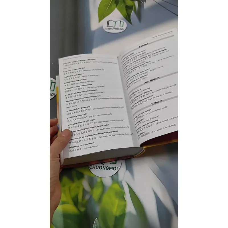 [MIỄN PHÍ BỌC SÁCH] Larousse Poche Plus Chinois 749592