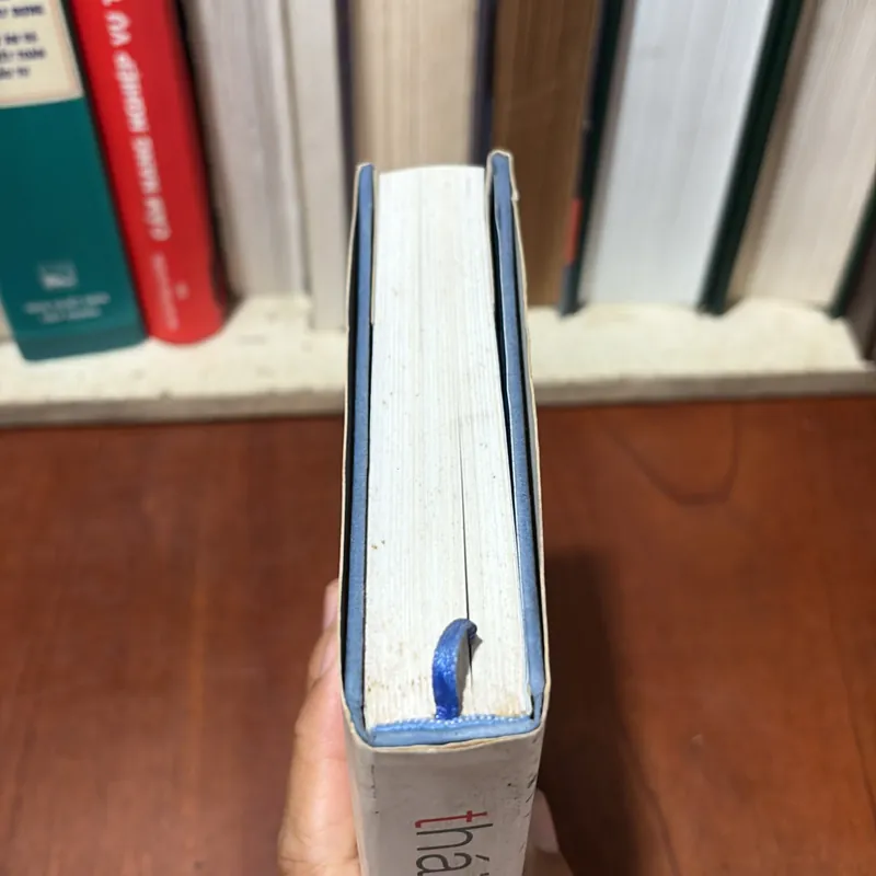 II Văn Học: Thái Ngọc San _ Khát Vọng Và Tình Ca Để Lại - 2005 739399