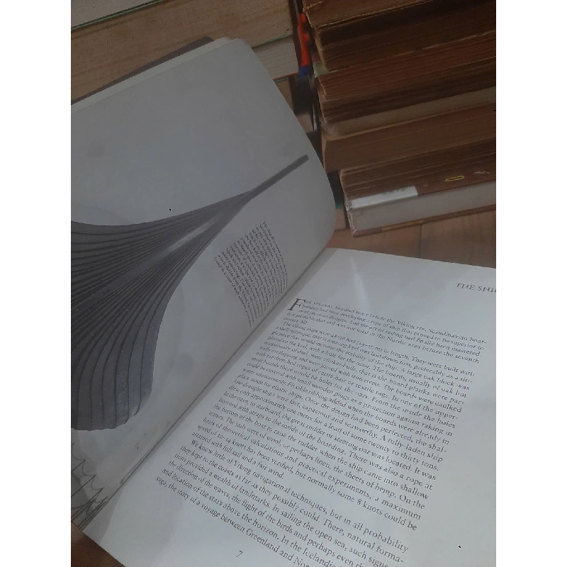 Vikings - Carin Orrling 776235