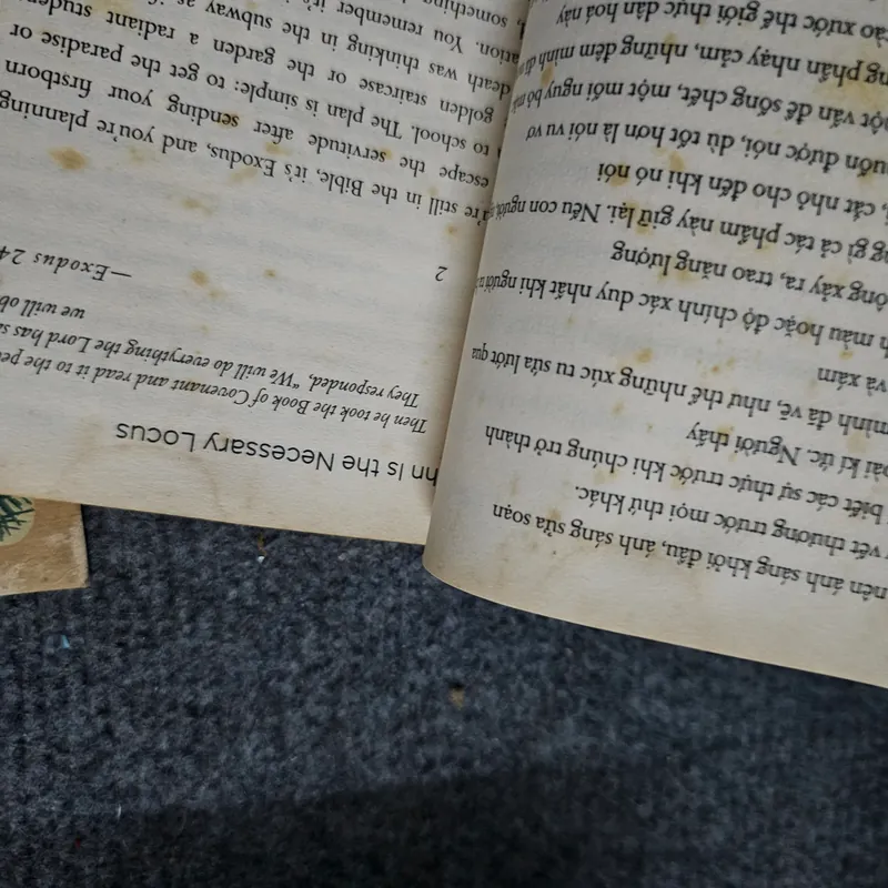 Phối giống tôi 734714