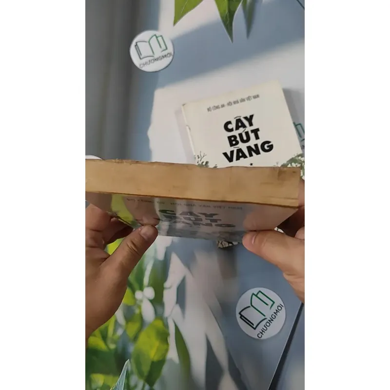 [XƯA] Combo Cây Bút Vàng 1,2 (1999) - Nhiều tác gỉa 798304