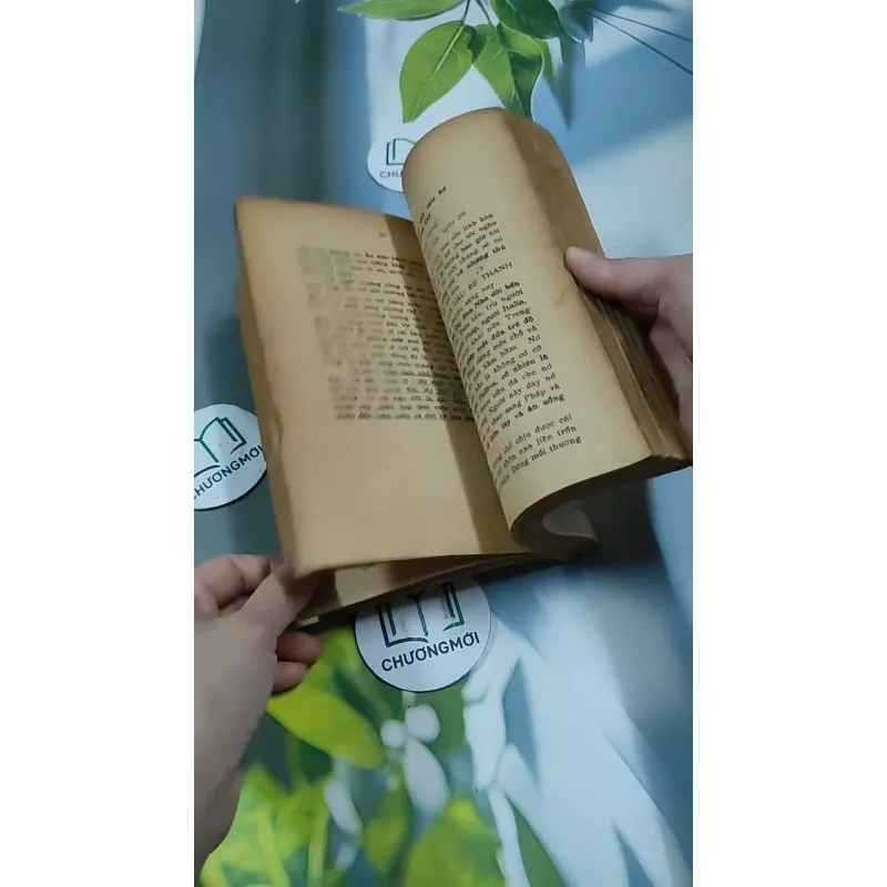 Tâm Hồn Cao Thượng (1989) 713894