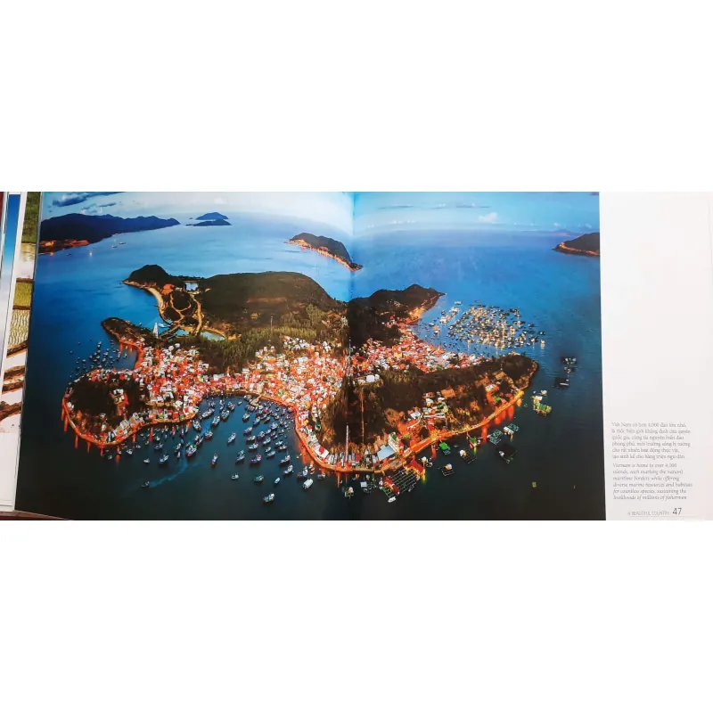 Việt Nam Hạnh phúc - HAPPY VIETNAM 711956