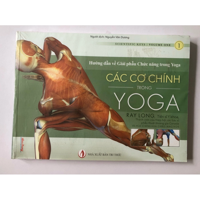 HƯỚNG DẪN VỀ GIẢI PHẪU CHỨC NĂNG TRONG YOGA CÁC CƠ CHÍNH TRONG YOGA 297643