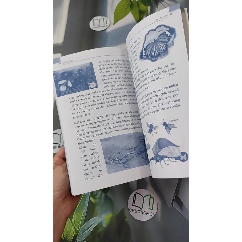 Động vật: Sống dưới nước, bò sát và côn trùng - An Khánh 1018832