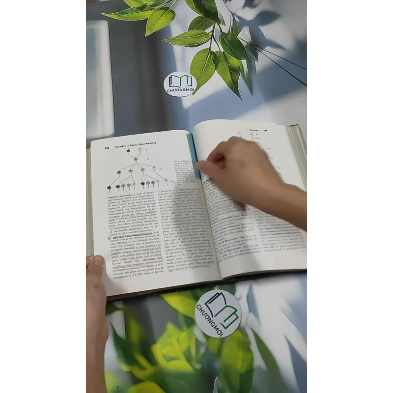 [MIỄN PHÍ BỌC SÁCH] The Plant World - Harry J. Fuller 750801