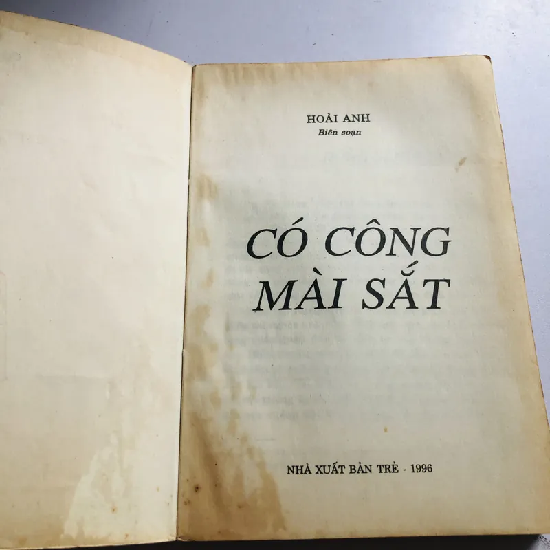 CÓ CÔNG MÀI SẮT ( Hoài Anh) 568239