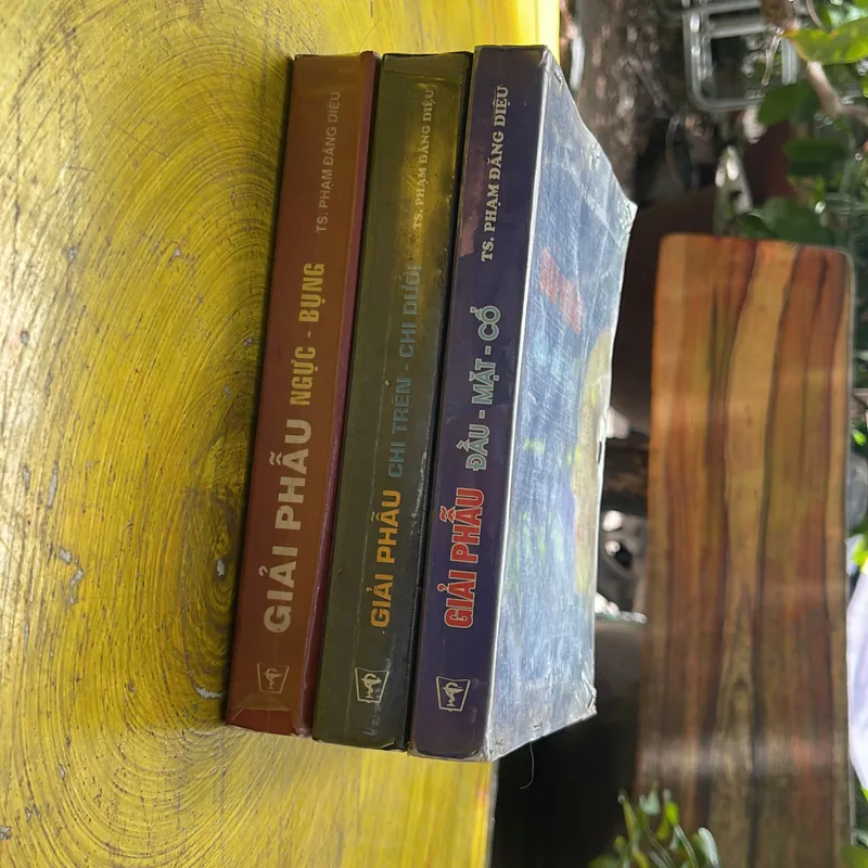 GIẢI PHẪU NGỰC- BỤNG- GIẢI PHẪU CHI TRÊN- CHI DƯỚI- GIẢI PHẪU  ĐẦU-MẶT- CỔ-TS.PĐD 571167