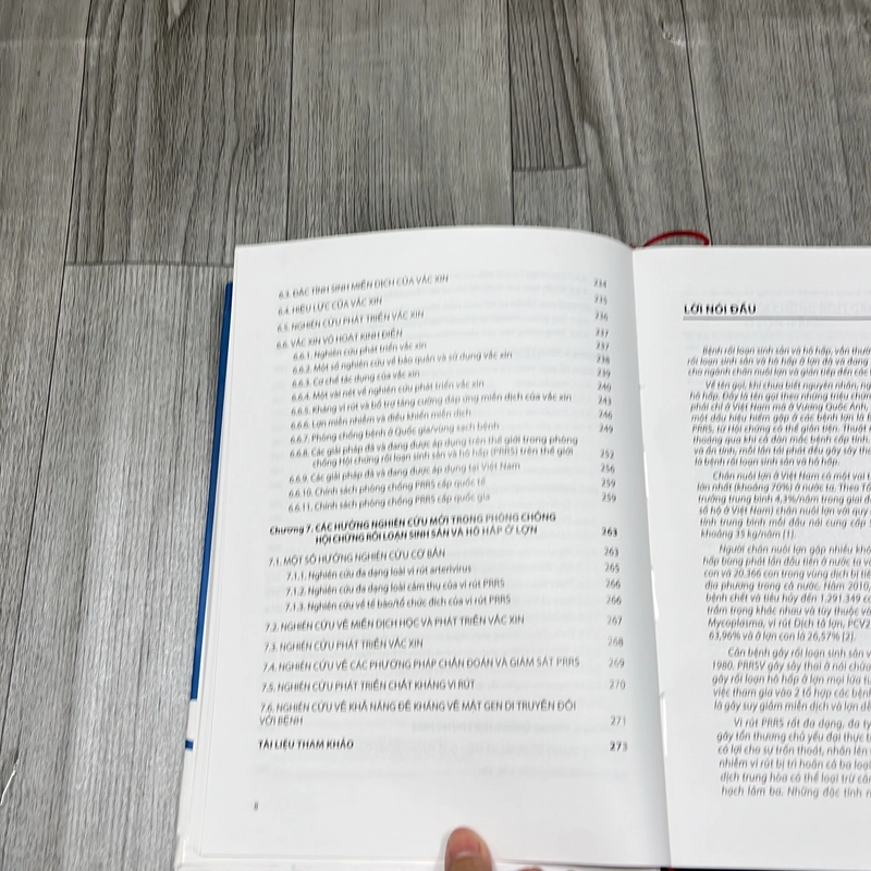 Hối chứng rối loạn sinh sản và hô hấp ở lợn. 8a2 539069