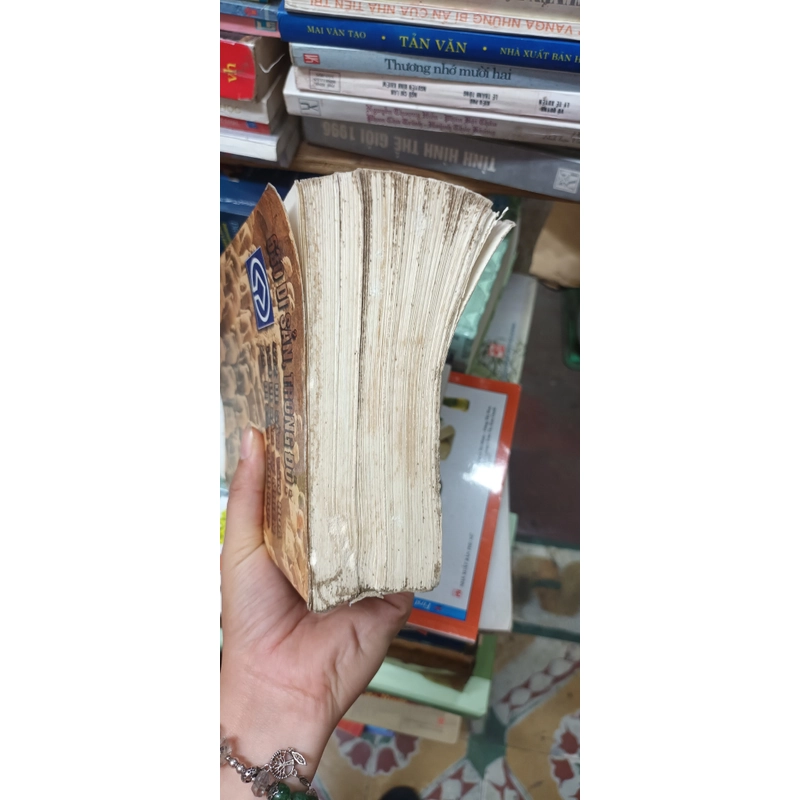 Những Di Sản Nổi Tiếng Thế Giới- Trần Mạnh Thường 546419