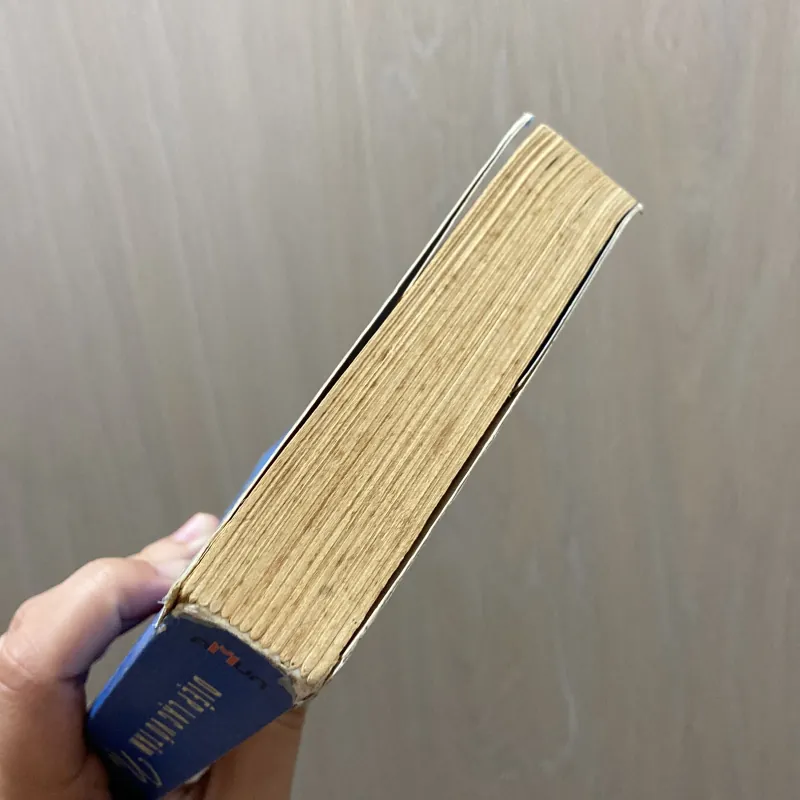 Nụ hôn của sói - Diệp Lạc Vô Tâm 960811