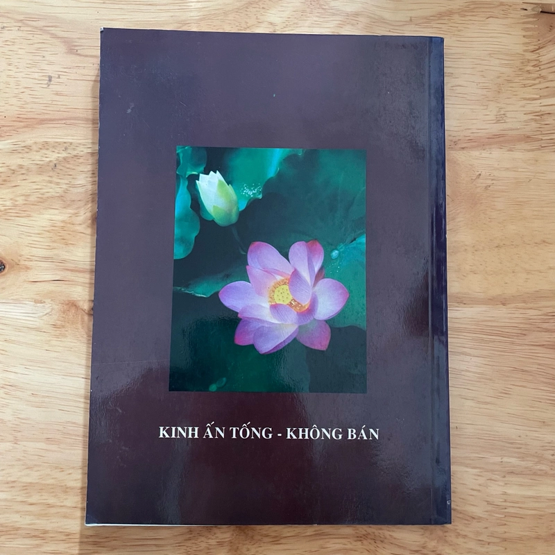II Tựa sách: Cẩm Nang Tu Đạo (Kinh Ấn Tống) - Hoà Thượng Quảng Khâm 465693