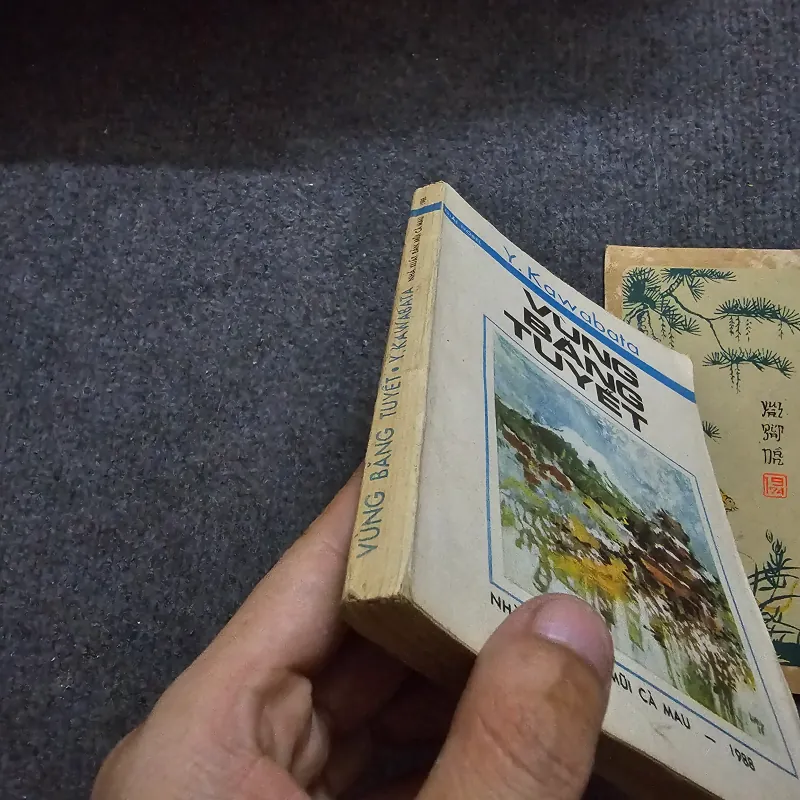 Vùng băng tuyết - kawabata 748545