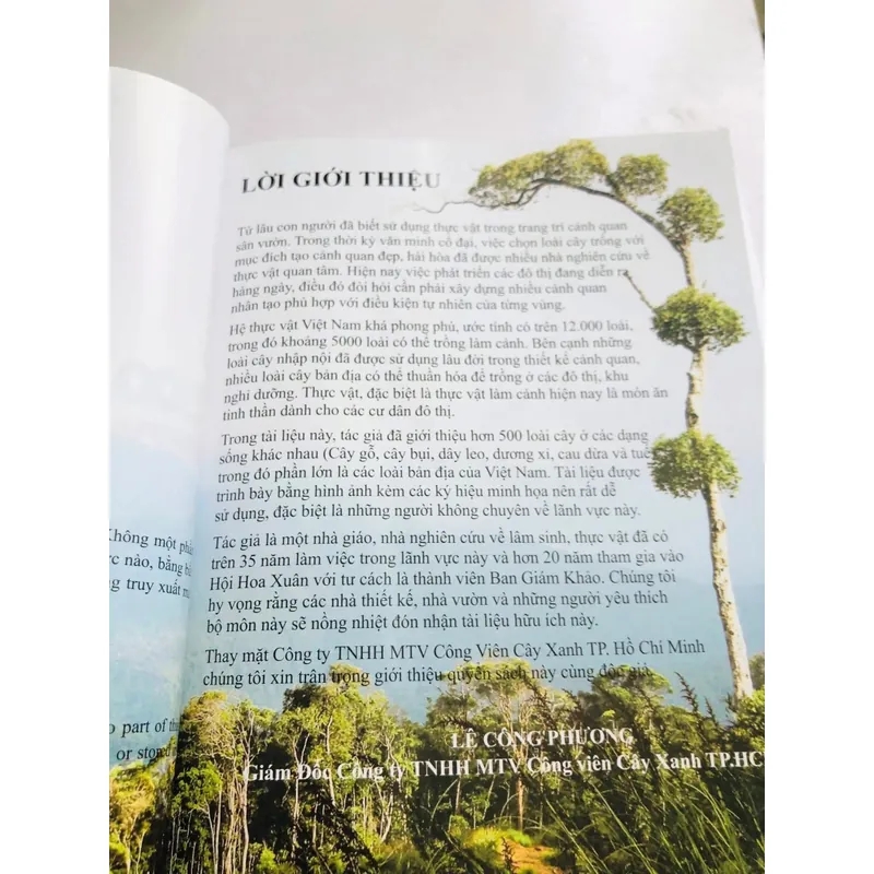 📚 500 LOÀI CÂY THƯỜNG DÙNG TRONG THIẾT KẾ CẢNH QUAN – Đinh Quang Diệp 601883