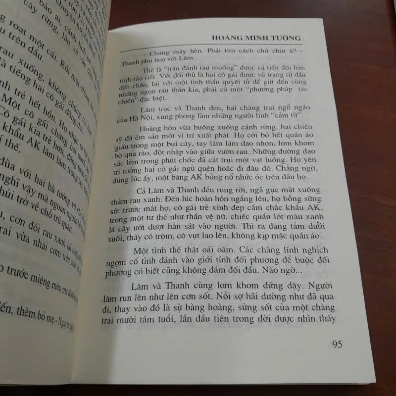 GÃ VIẾT THUÊ - HOÀNG MINH TƯỜNG 762769