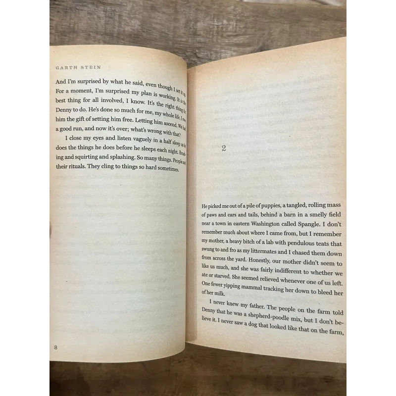 The Art of Racing in the Rain - Garth Stein 731950