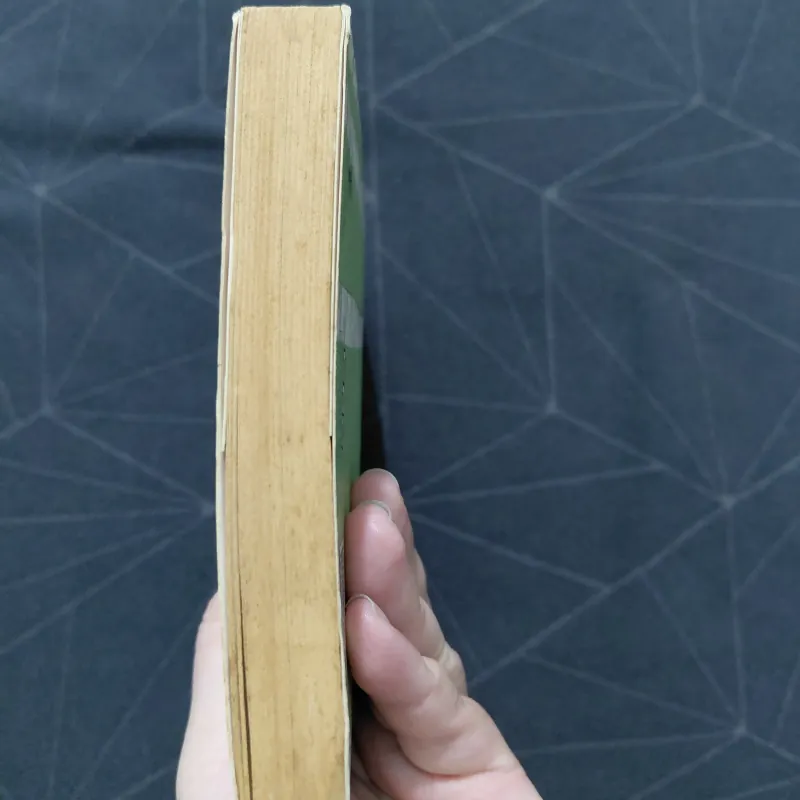 "Nếu biết trăm năm là hữu hạn" - Phạm Lữ Ân 797952