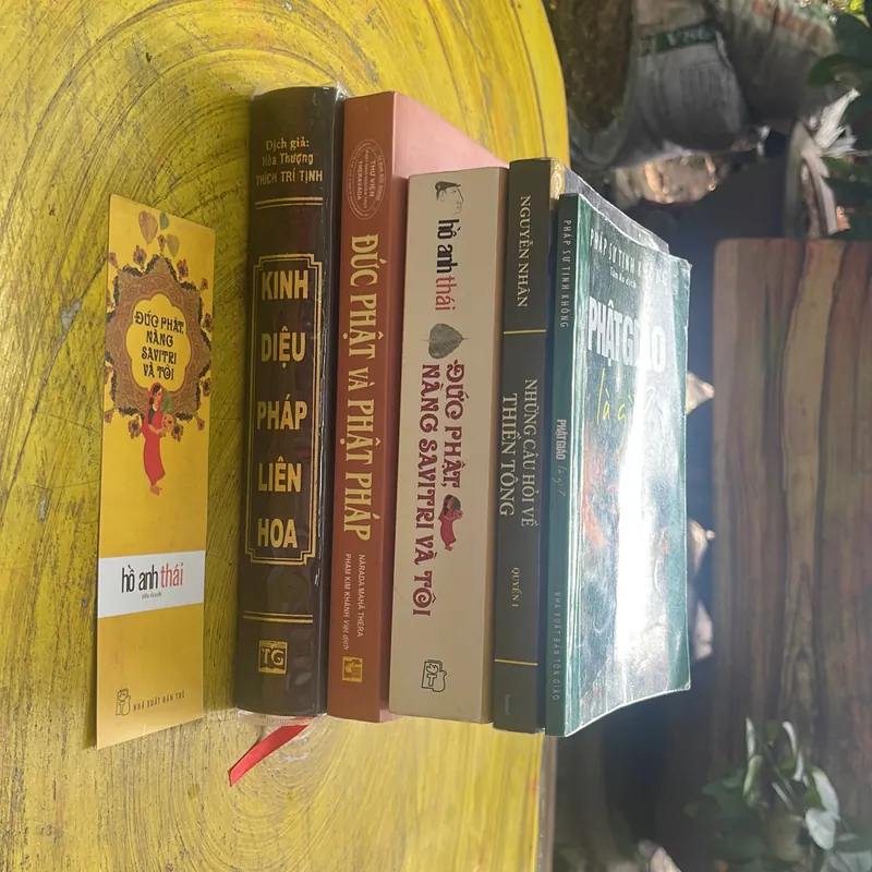 COMBO PHẬT GIÁO: ĐỨC PHẬT NÀNG SAVITRI VÀ TÔI, NHỮNG CÂU HỎI VỀ THIỀN TÔNG, PHẬT PHÁP… 689035