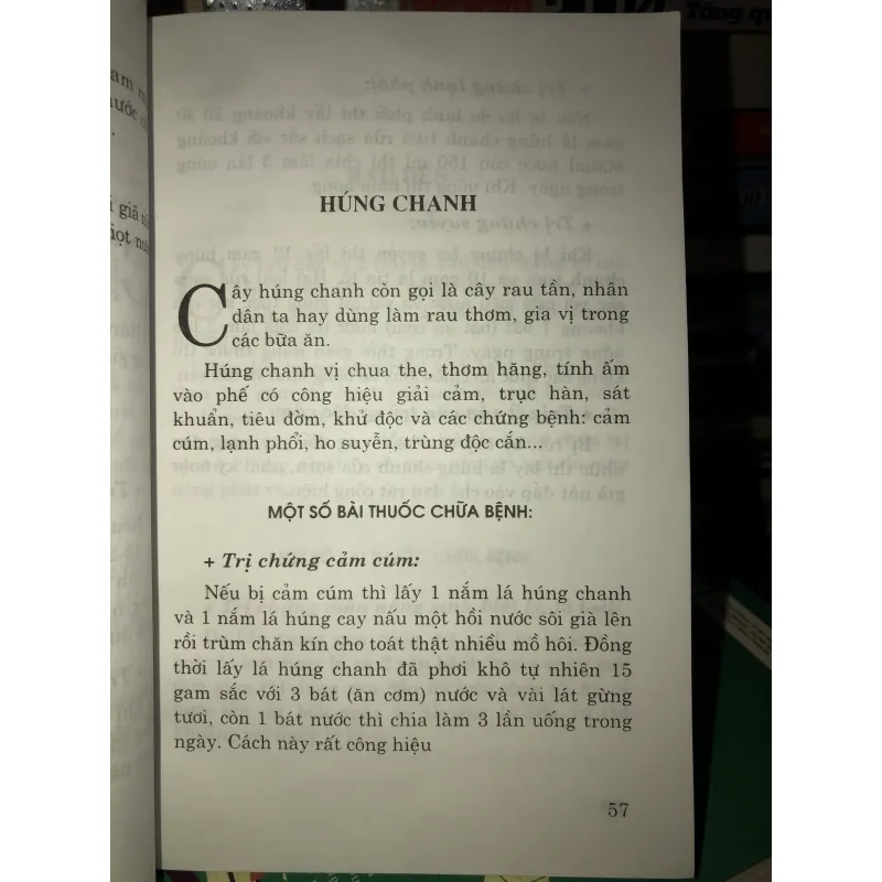 Thuốc quý vườn nhà bạn - Chữa bệnh bằng cây thuốc nam - Mai Hoa 936884