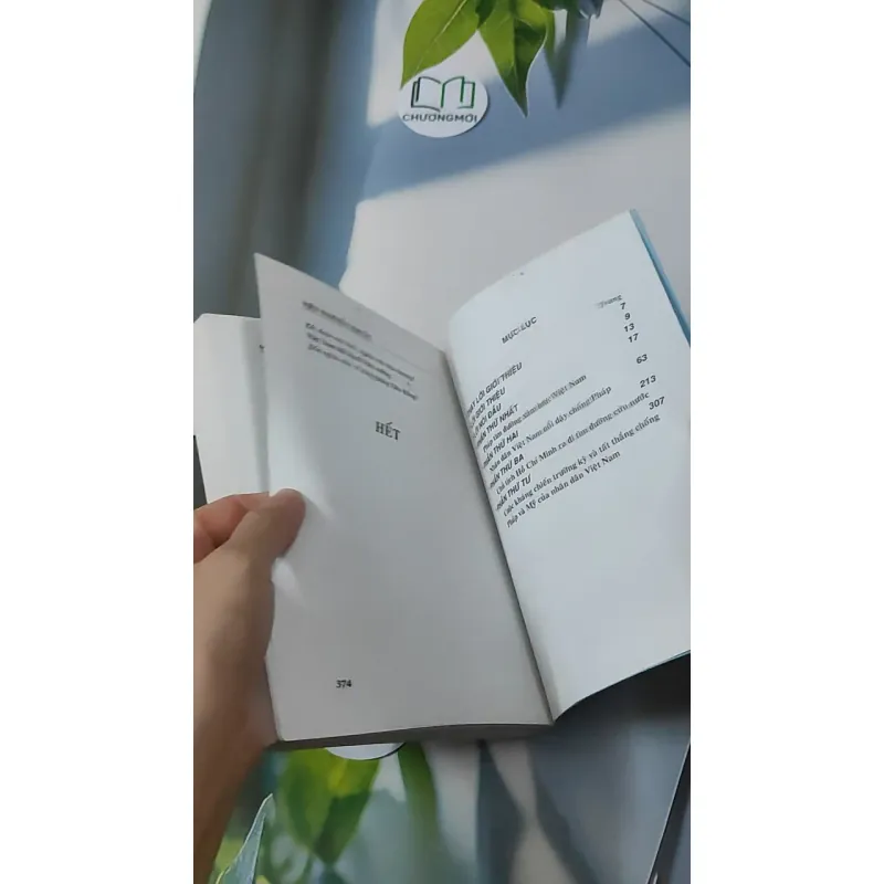 Việt Nam Bất Khuất - Việt Nam Kiên Cường - Hồng Lam Vũ Đình Hệ 928612