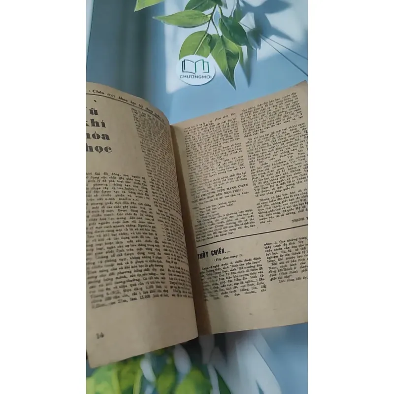 [XƯA] Tạp Chí Khoa Học Và Quân Sự - Số Tháng 8/1981 (1981) 776000