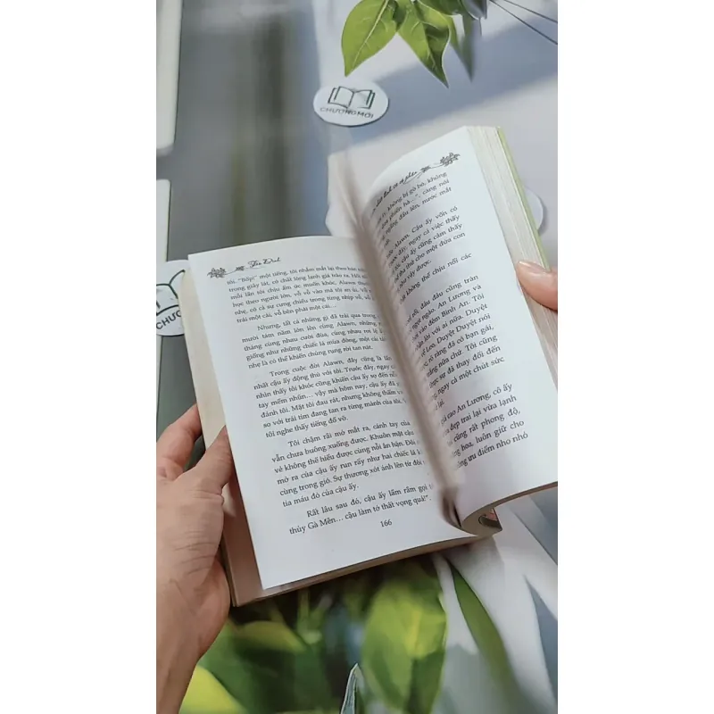 Có Duyên Nhất Định Sẽ Có Phận - Tào Đình 744694