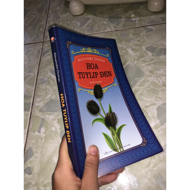 Hoa tuylip đen 928132