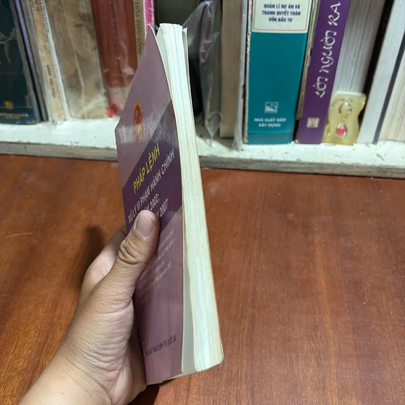 II Pháp Lệnh: Xử Lý Vi Phạm Hành Chính Năm 2002; Sửa Đổi Năm 2007 1002131