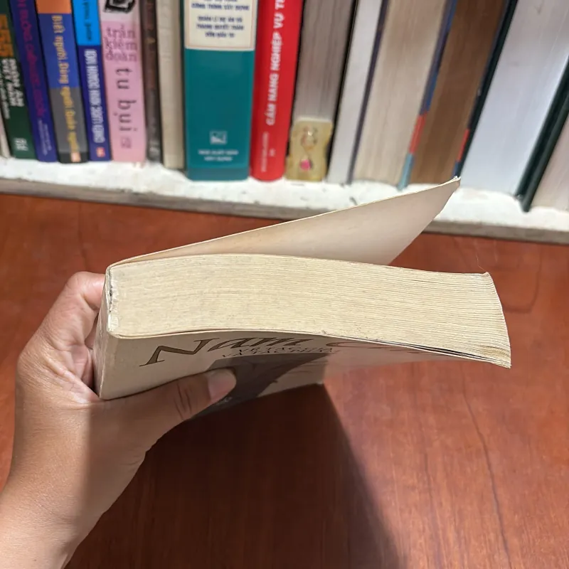 II Văn Học Việt Nam: Nam Cao _ Về Tác Gia Và Tác Phẩm - Bích Thu - 2003 801128