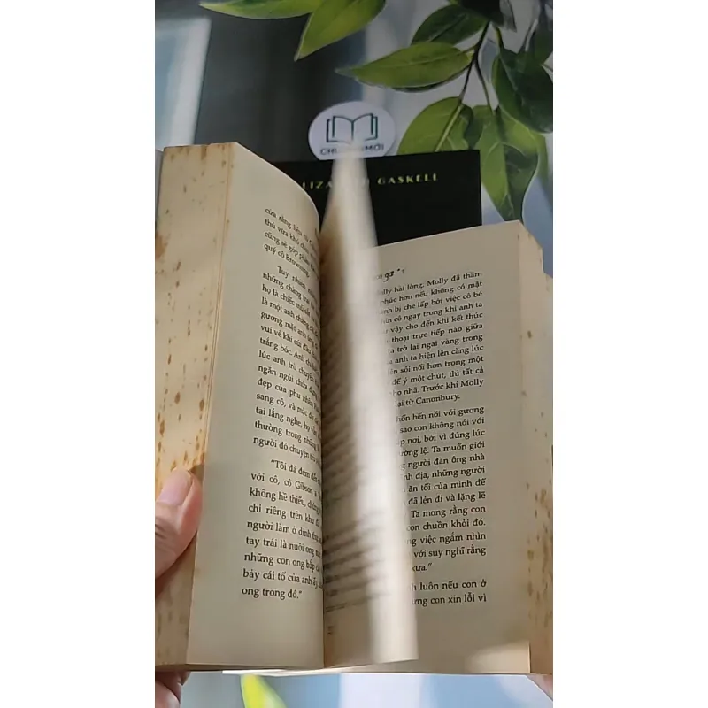 [MIỄN PHÍ BỌC SÁCH] Vợ và con gái ( Tập 1 + 2) (2016) - Elizabeth Gaskell 607675