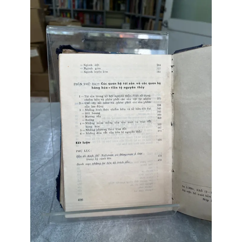 KINH TẾ THỜI NGUYÊN THUỶ Ở VIỆT NAM - ĐẶNG PHONG 975755