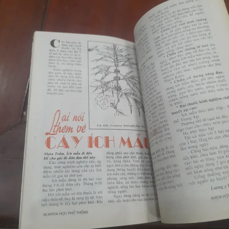 KHOA HỌC PHỔ THÔNG số 388 tháng 10-1997 732162