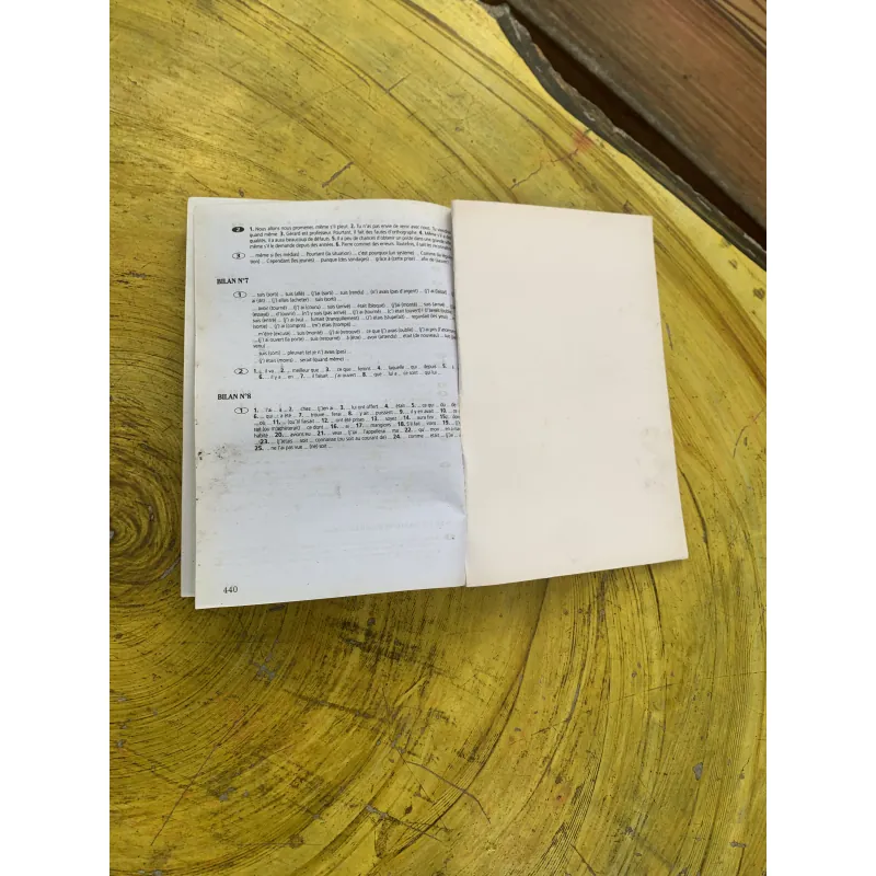 500 BÀI TẬP CÓ HƯỚNG DẪN VAWN PHẠM TIẾNG PHÁP KÈM LỜI GIẢI SONG NGỮ PHÁP - VIỆT 799938