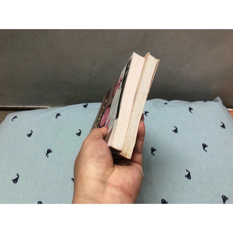 Vân Vy + Paris 11 tháng 8 - Thuận (Vân Vy đẹp như mới, Paris đọc tốt) 377878