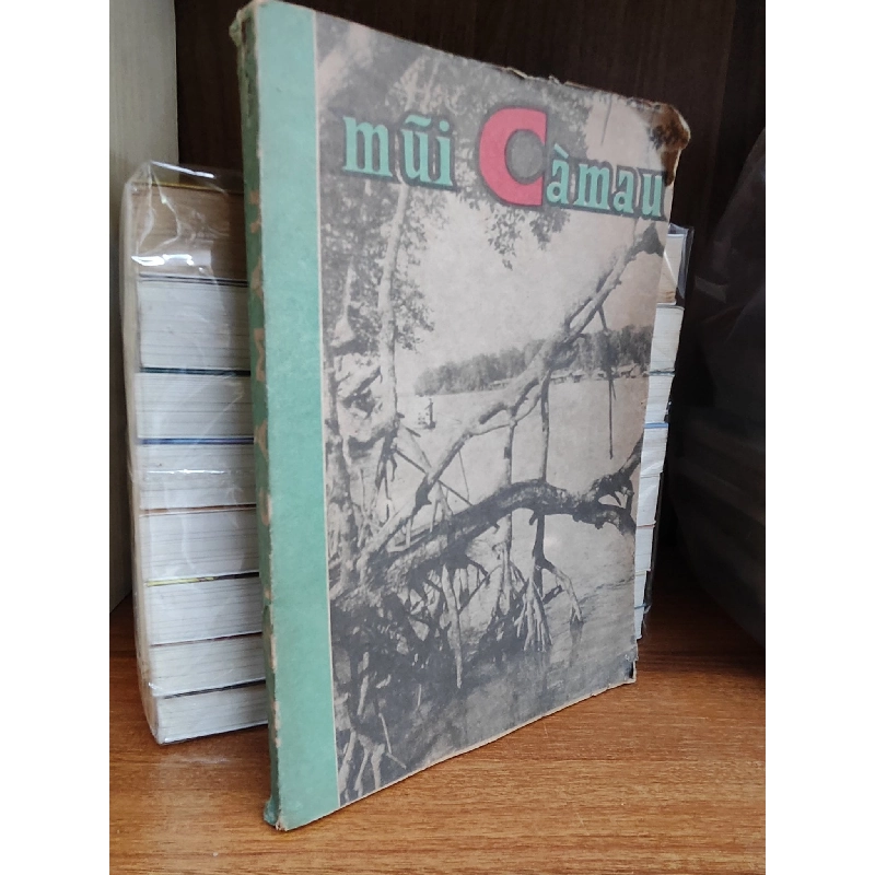 Mũi Cà Mau 1019283