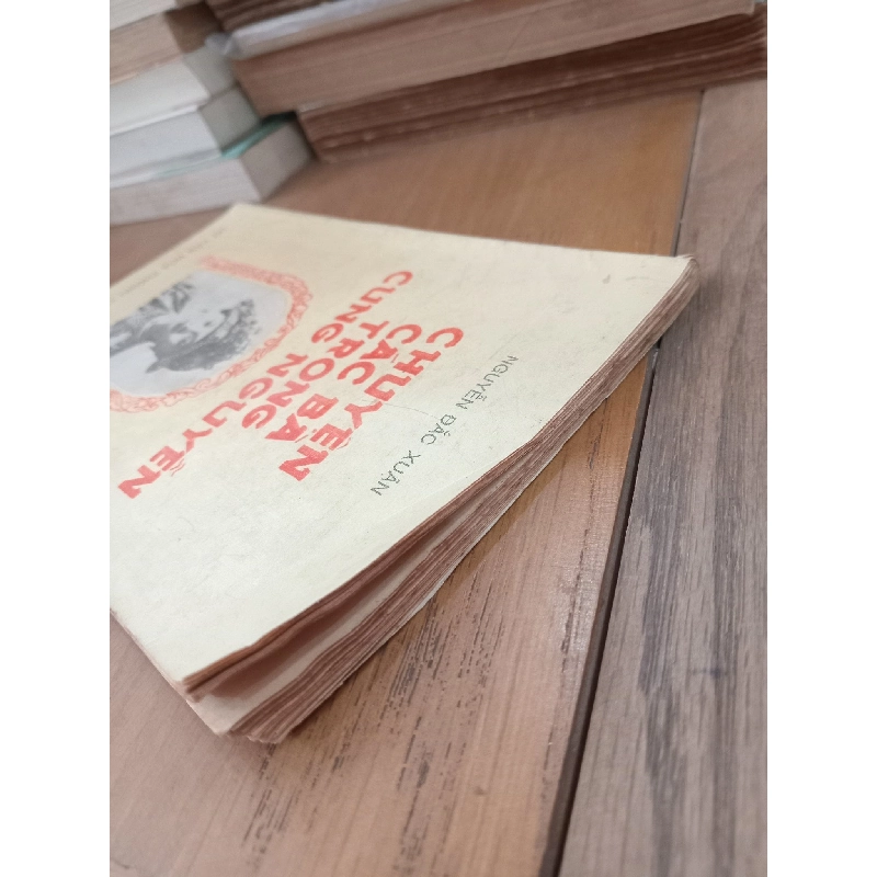 Chuyện các bà trong cung Nguyễn - Nguyễn Đắc Xuân 999471