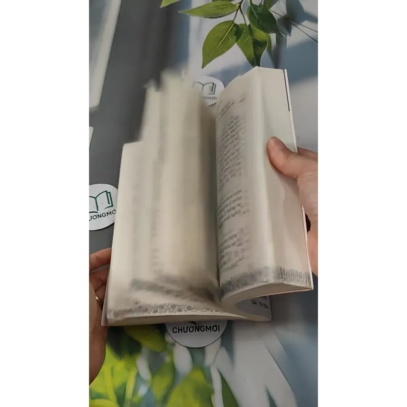 Bạn Có Thể Chữa Lành Cuộc Sống Của Bạn - Louise L. Hay 727270