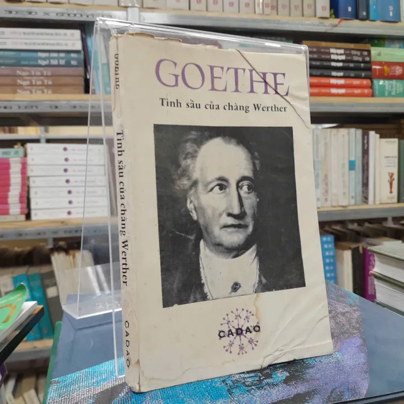 TÌNH SẦU CỦA CHÀNG WERTHER - GOETHE 703808