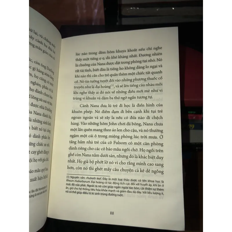 Peter Pan đứa bé không bao giờ lớn - J.M. Barrie 993575