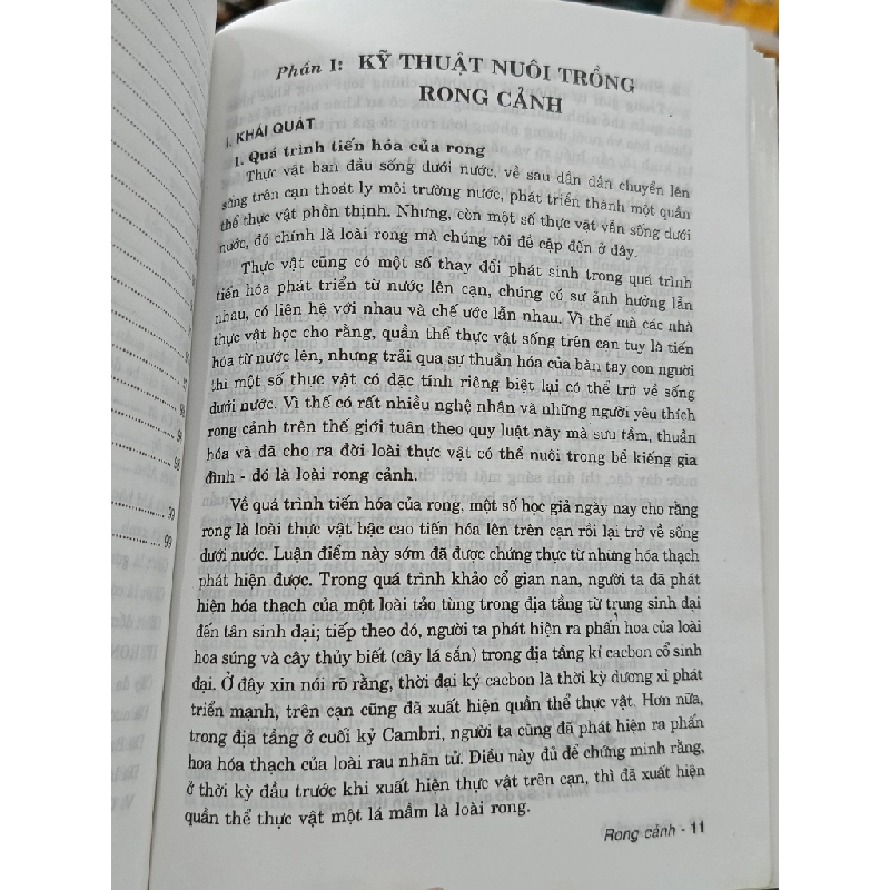 Rong cảnh: Thưởng thức và nuôi dưỡng - Saigonbook (Biên dịch) 497717