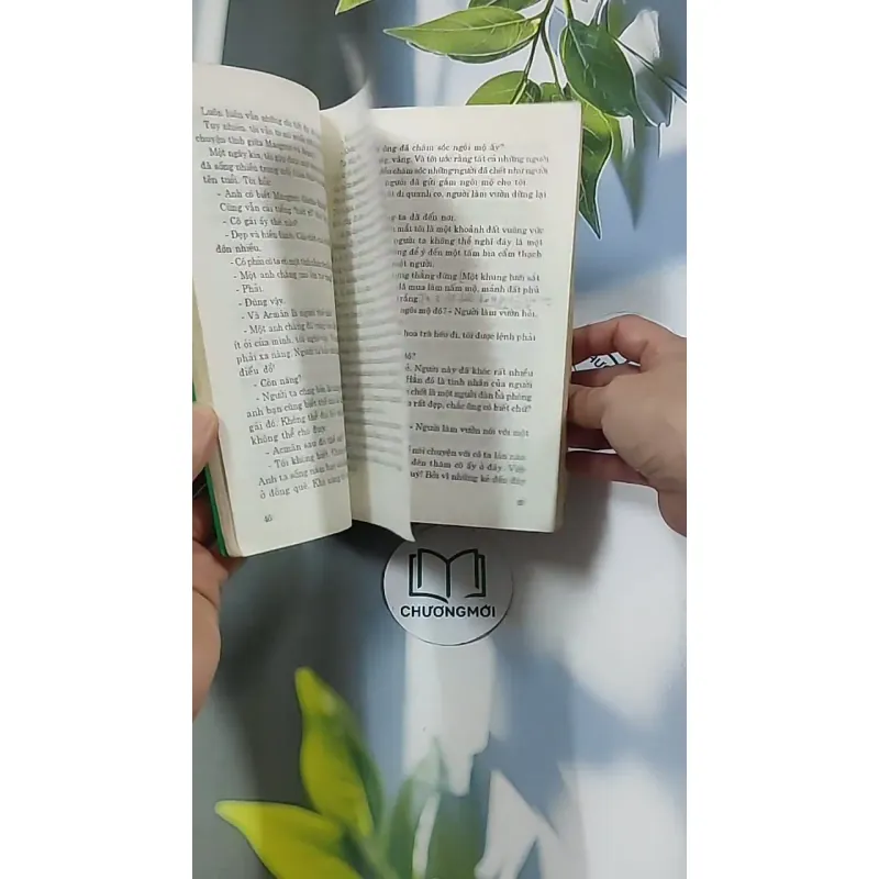 Trà Hoa Nữ 674981