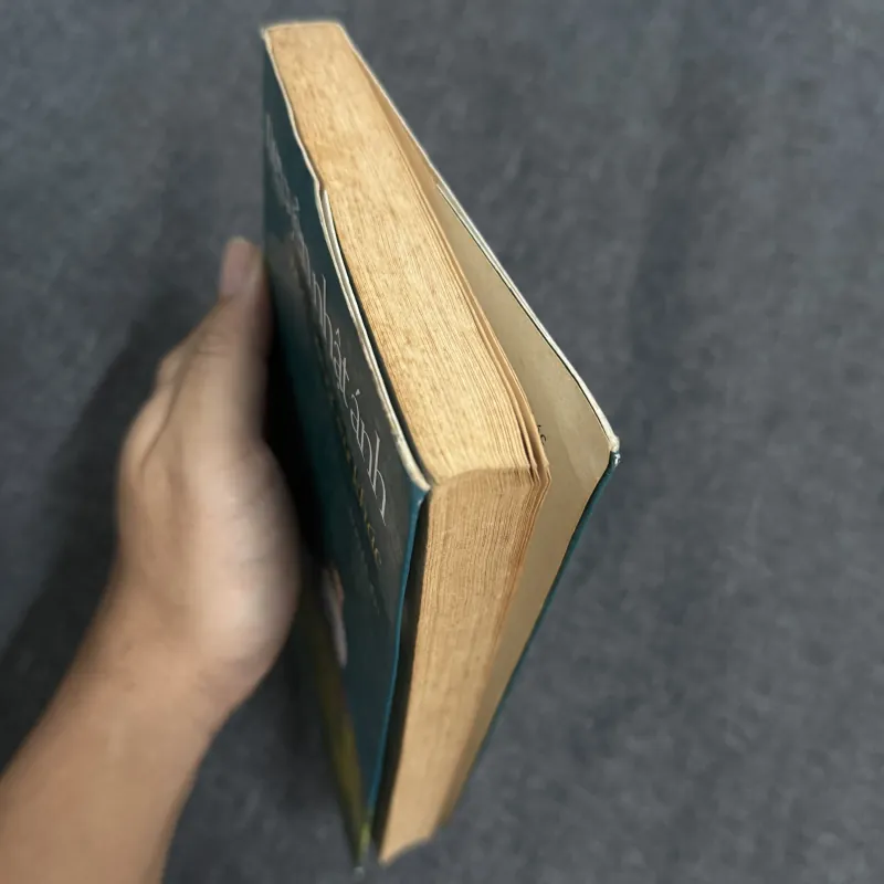 Hoa hồng xứ khác - Nguyễn Nhật Ánh 1023186