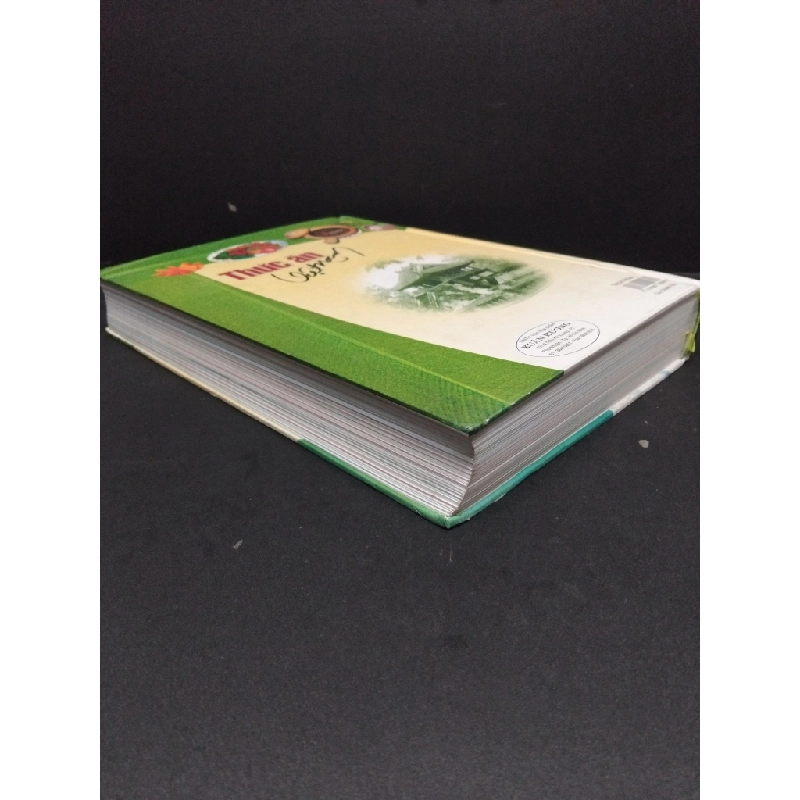 Thức ăn Việt Nam Triệu Thị Chơi (bìa cứng) mới 90% bẩn nhẹ 2011 HCM.ASB0811 448102