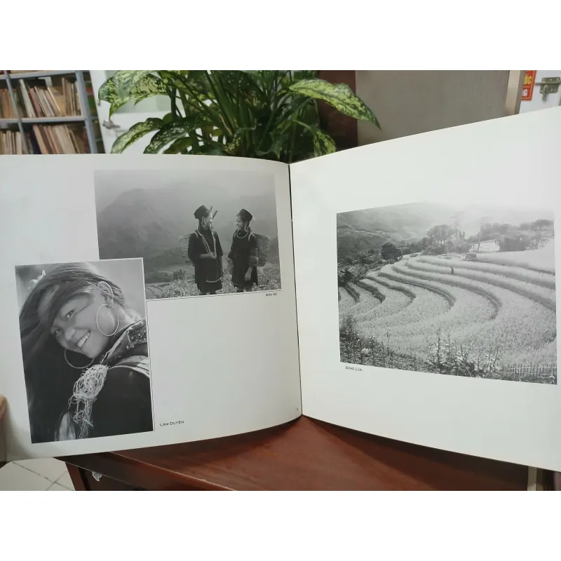 ẢNH ĐEN & TRẮNG 559316