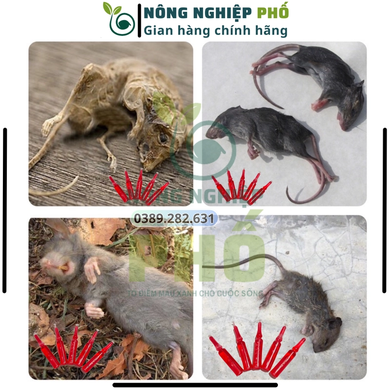 [XẢ KHO] 10 Ống chuột NƯỚC ĐỎ hàng nội địa Trung. Trừ sạch nhanh các loại chuột sau 1 lần 508251